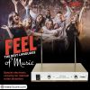 5 Core 2 Channel Wireless Microphones w 2 Headset Portable Mini Mic Headset Microfono Inalambricos with Receiver - WM 301 HH